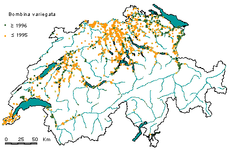 Verbreitung Gelbbauchunke in der Schweiz