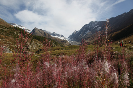 Fafleralp