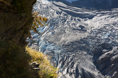 Grindelwaldgletscher