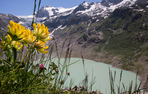 Triftsee
